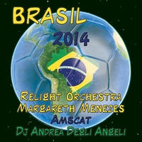 Brasil 2014 (feat. Amscat) [Andeeno Damassy Remix 2014]