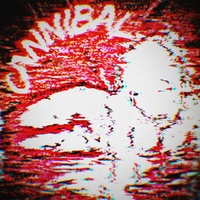 Sound image