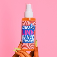 Sneaky Link (Dance Version)