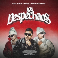 LOS DESPECHAOS