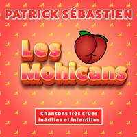 Les Mohicans
