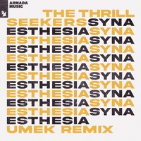 Synaesthesia - En-Motion Remix