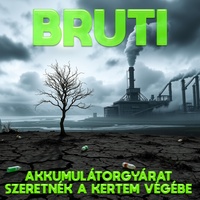 Akkumulátorgyárat szeretnék a kertem végébe