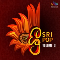 Naari Naari (SriPop)