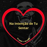 Na Intenção de Tu Sentar (Slowed + Reverb)