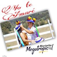 Yo te amaré