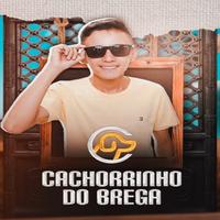No Calor da Vaquejada - Ao Vivo