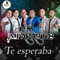 TE ESPERABA