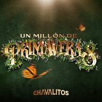 Un Millón De Primaveras