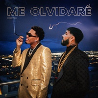 Me Olvidare