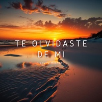 Te Olvidaste de Mi