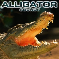 Alligator Sound (feat. Relaxing Nature Sound, Soothing Sounds, White Noise Ambience, White Noise Sounds For Sleep, Animals Sounds & National Geographic Nature Sounds)