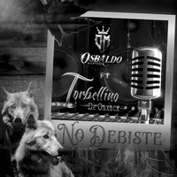 No Debiste