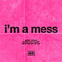 i'm a mess