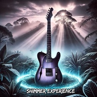 Experience