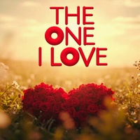 The One I Love