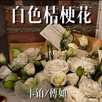 白色桔梗花
