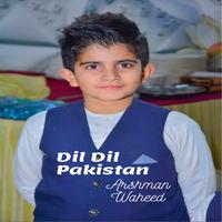 Dil Dil Pakistan