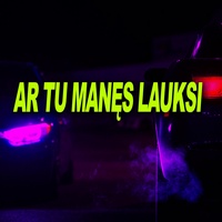 AR TU MANĘS LAUKSI - Remix
