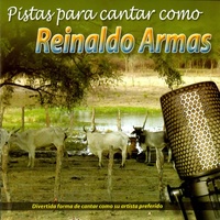 Mi Amigo El Camino