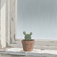 Cactus in the Rain