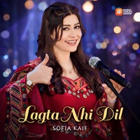 Lagta Nahi Dil