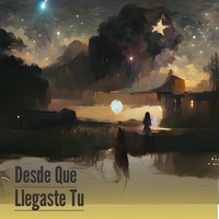 Desde Que Llegaste Tu