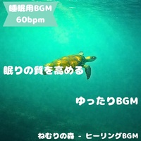 "Sleep BGM" The sound of dream wings invites you to sleep