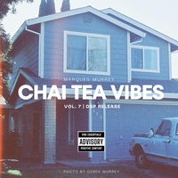 Vibe 73