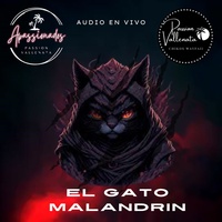 EL GATO MALANDRIN (PASSION VALLENATA EN VIVO) - En vivo
