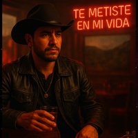 Te metiste en mí vida