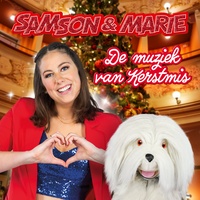 De Muziek Van Kerstmis
