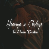 Heeriye x Chaleya x Tu Aake Dekhle
