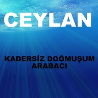 Deliler Gibi