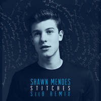 Stitches - Seeb Remix