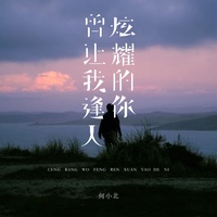 曾让我逢人炫耀的你