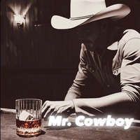 Mr. Cowboy