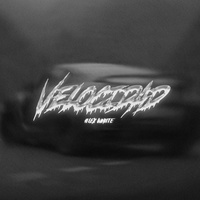 Velocidad
