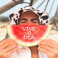Vive o dia