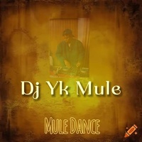 Mule Dance