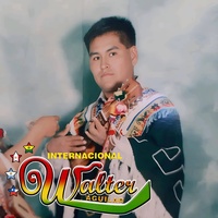 Waltico
