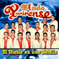 La Guajolotas