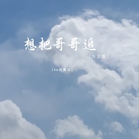 想把哥哥追 - 方言版伴奏