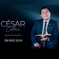 Esta Cayendo - en Vivo