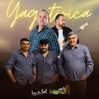 Yaguatirica