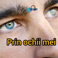 Prin ochii mei