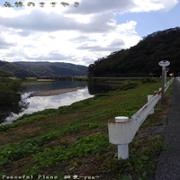 風がそよぐ緑の中で