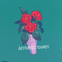 Aesthetic Sounds