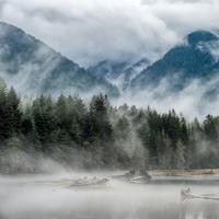 The Mist