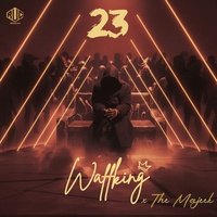 23